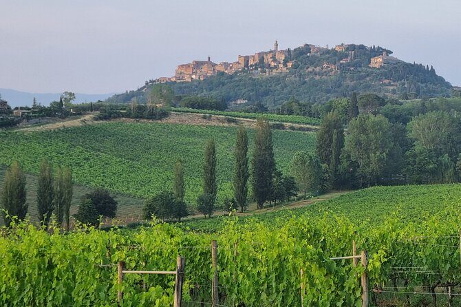 Private tour Wine and cheese a perfect combinations val 'Orcia - Pienza historic centre: Pecorino shopping plus Pope Paolo II trivia