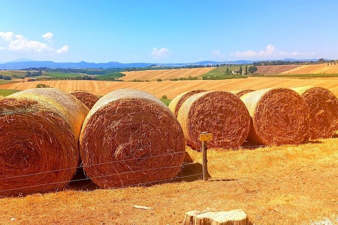 PRIVATE TRANSFER from Siena to Florence with stop in S Gimignano & Monteriggioni - Price and Value: Is $181.39 Per Person Fair?
