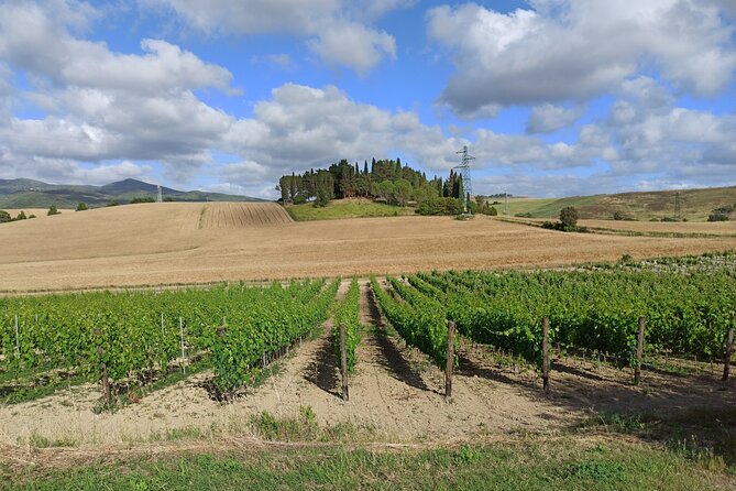 PRIVATE TRANSFER from Siena to Florence with stop in S Gimignano & Monteriggioni - Timing Tips for Two Towns in Four Hours