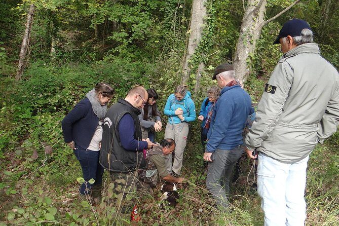 Private Truffle Hunting in Chianti - A half-day truffle hunt that turns into dinner-worthy food