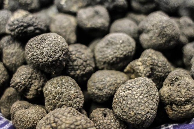Private Truffle Hunting in Chianti - What the private driver and English-speaking guide add to the day