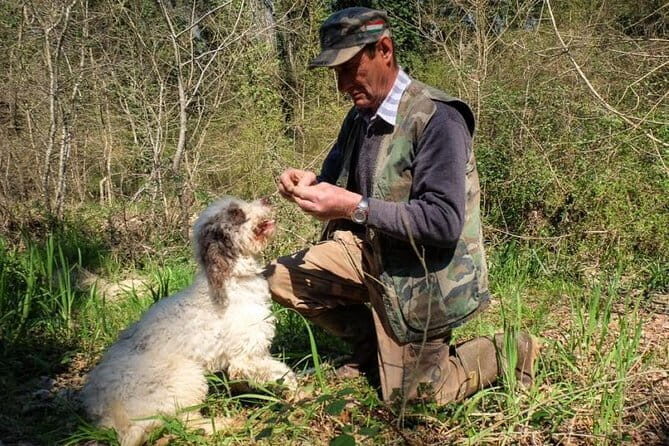 Private Truffle Hunting in Chianti from Florence - Key moments that make this truffle hunt worth it