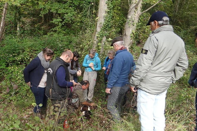 Private Truffle Hunting in Chianti from Florence - How many truffles should you expect to find?