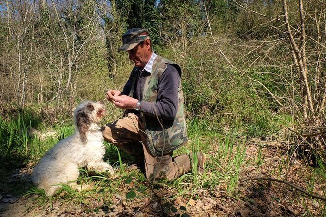 Private Truffle Hunting in Chianti - Your morning start near Siena (and why the meeting point matters)