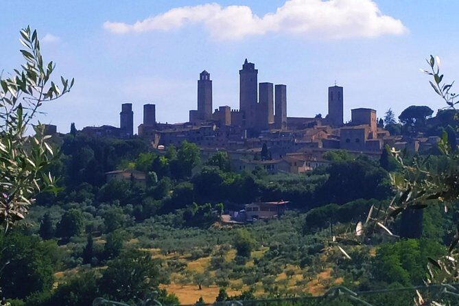 Private Tuscan Cooking Class And Wine Tasting in Radda in Chianti - Wine and conversation: the meal you actually helped build