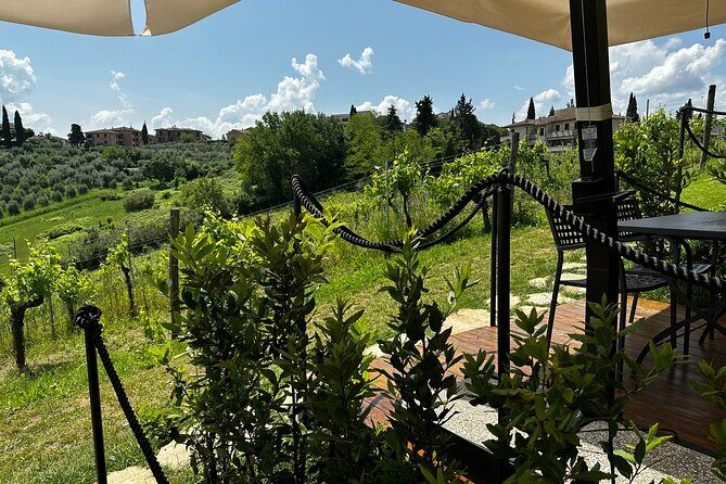 Private Tuscan Lunch with Wine & Evo oil tasting in the Vineyard - The tasting lineup: wine, EVO oil, and balsamic vinegar