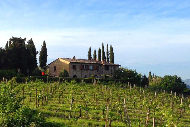 Private Tuscan meal with Wine and EVO oil tasting - Lunch in Tuscan mode: bruschette, pasta, pecorino, and cantucci