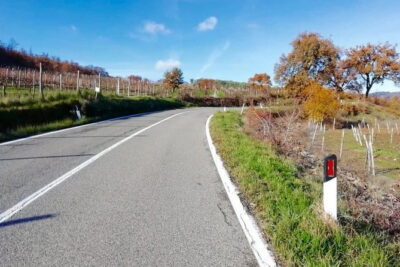 Private Tuscany Cycling Tour from Florence - Custom Route Energy: How Your Guide Tunes the Miles