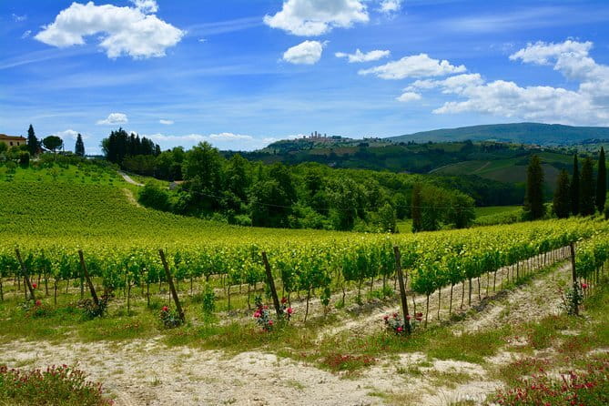 Private Tuscany Day Tour: San Gimignano and Chianti Wine Region from Florence - The Chianti Wine Region Part: Winery Time That Can Match Your Taste