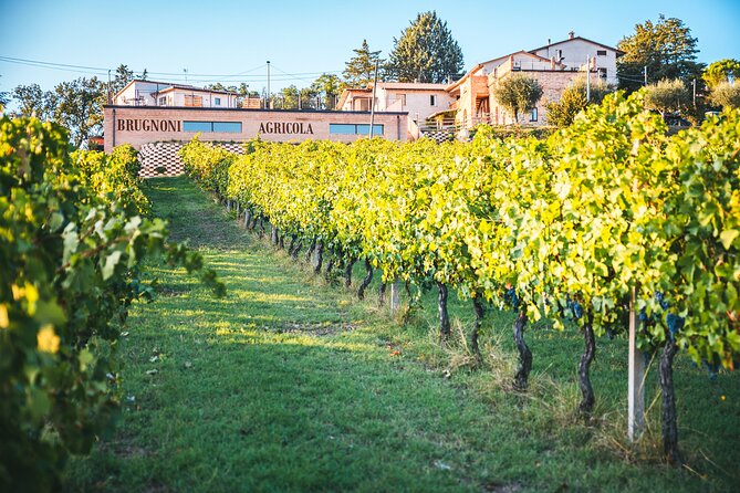 Private visit to the Brugnoni winery with tasting of 4 wines - Who you’ll meet: family storytelling with Claudio and Margherita