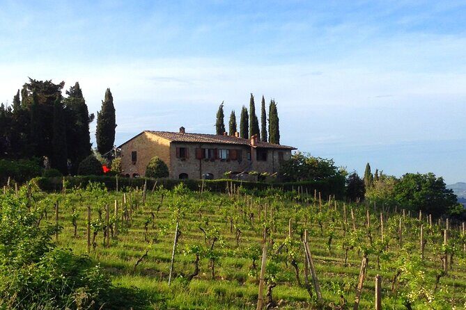 Private Wine and Extra Virgin Olive Oil Tasting - Should you book this Private Wine and Extra Virgin Olive Oil Tasting?