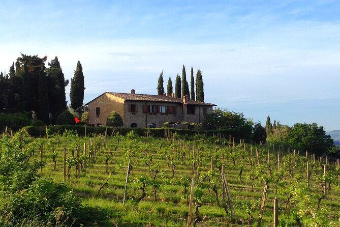 Private wine & EVO Oil Tasting with Tuscan Meal - Dario’s hosting style and why it matters