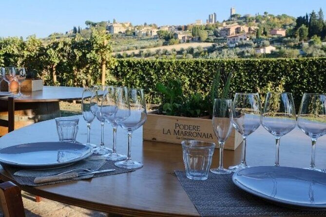 Private wine & EVO Oil Tasting with Tuscan Meal - Who this private tasting suits best