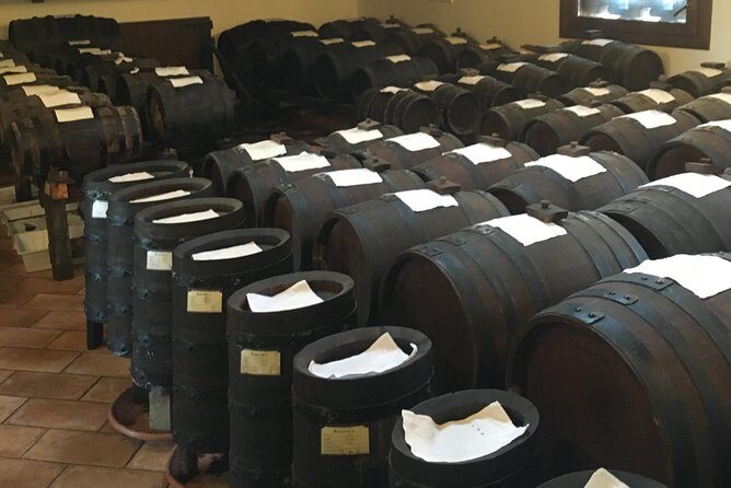 Private Wine, Evo Oils & Balsamic Vinegar Experience with Meal - Alcohol, Pace, and Comfort: How to Enjoy It Without Feeling Overwhelmed