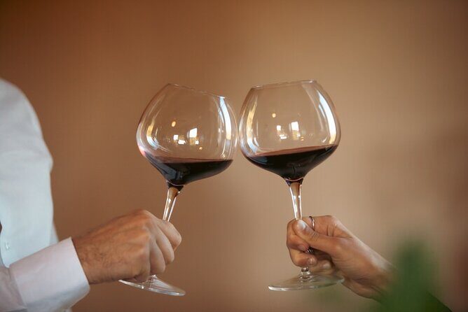 Private wine, Extra Virgin Olive Oils & Cheese Tasting - Timing and logistics near San Gimignano: easy walk, rural parking