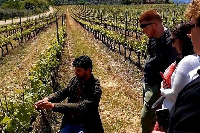 Private Wine Safari! Off-Road, Lunch in Winery in Tuscany! - Lunch and wine tasting: eating Tuscan specialties with your pours