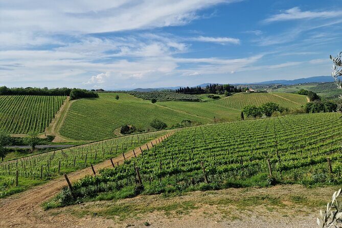 Private Wine Tour best of Chianti Tuscany 6 hours Limo Service - Private limo to the Chianti Road: why this beats self-driving