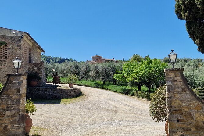 Private Wine Tour best of Chianti Tuscany 6 hours Limo Service - Price and value: is 806.68 USD per group fair?