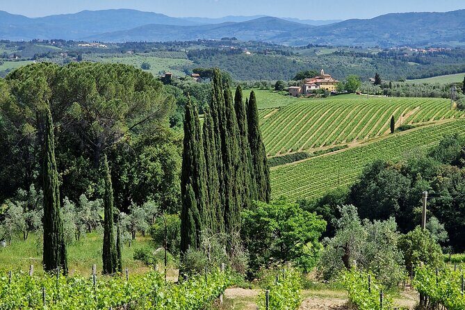 Private Wine Tour best of Chianti Tuscany 6 hours Limo Service - Who should book this private Chianti tour from Florence
