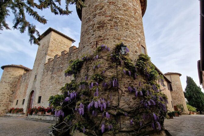 Private Wine Tour best of Chianti Tuscany 6 hours Limo Service - Booking smarts: what to know before you go