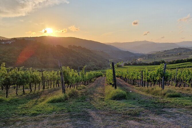 Private Wine Tour best of Chianti Tuscany 6 hours Limo Service - Poggio Amorelli: the big winery stop where most of the value lives