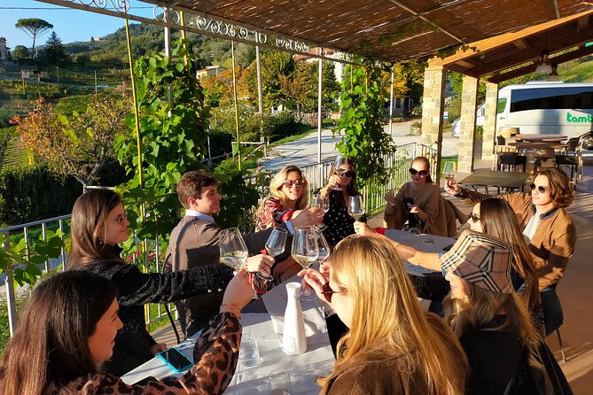 Private wine tour on the magical hills of Lucca (2 wineries) - Key highlights worth getting excited about