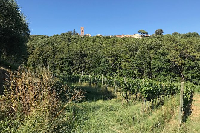 Private wine tour on the magical hills of Lucca (2 wineries) - Why Lucca’s hill wineries work well for a half-day escape