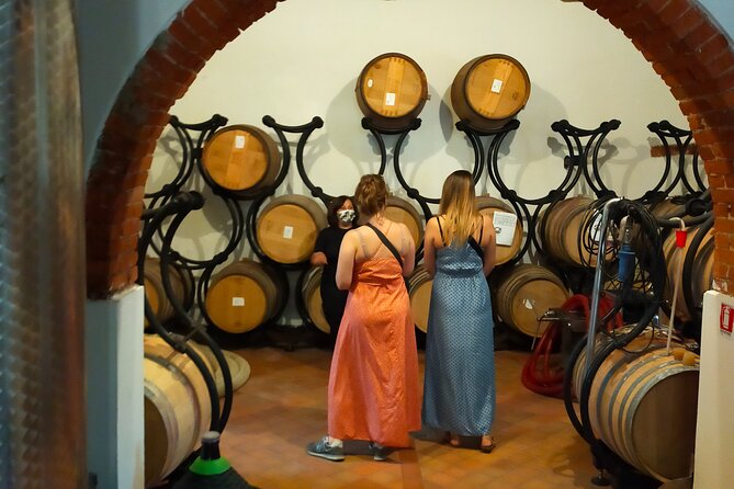 Private wine tour on the magical hills of Lucca (2 wineries) - Stop 1 in Lucca: vineyard walk, organic tastings, and a first food pairing