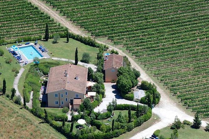 Private wine tour on the magical hills of Lucca (2 wineries) - Stop 2 in Capannori: compare wineries without comparing logistics