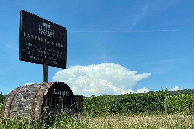 Private wine tour on the magical hills of Lucca (2 wineries) - What you’ll taste: wine flights plus olive oil and seasonal plates