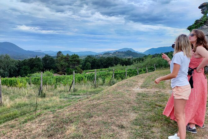 Private wine tour on the magical hills of Lucca (2 wineries) - Price and real value: is $217.23 per person fair?