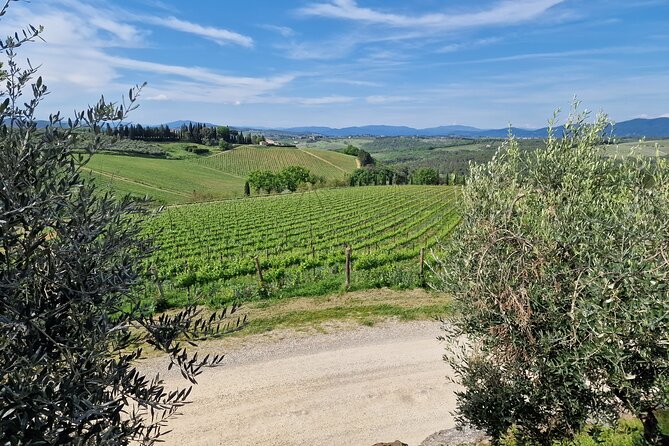 Private Wine Tour Top Wineries, Limousine Service, Florence Tours - Private Chianti Day Trip: Calm Transportation Beats Stress
