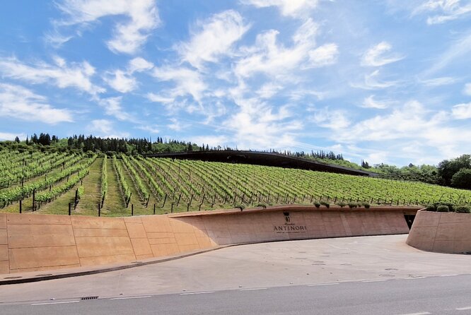 Private Wine Tour Top Wineries, Limousine Service, Florence Tours - Chianti Views Stop: Strada Statale 222 and Conca d’Oro Photos