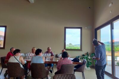 Private wine tour with sommelier - the magical Bolgheri (2 wineries) - Stop at Chiappini: the first vineyard walk and cellar tasting