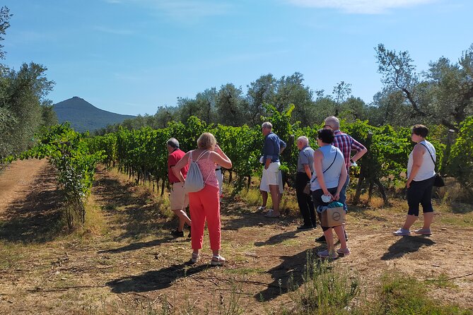 Private wine tour with sommelier - the magical Bolgheri (2 wineries) - What’s included in the tasting day (and what isn’t)