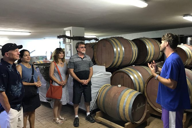 Private wine tour with sommelier - the magical Bolgheri (2 wineries) - Duration, pace, and how to plan your day