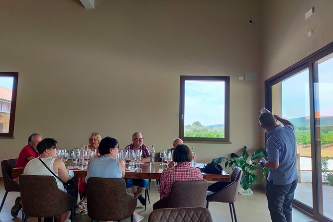 Private wine tour with sommelier - the magical Bolgheri (2 wineries) - Stop at Chiappini: the first vineyard walk and cellar tasting