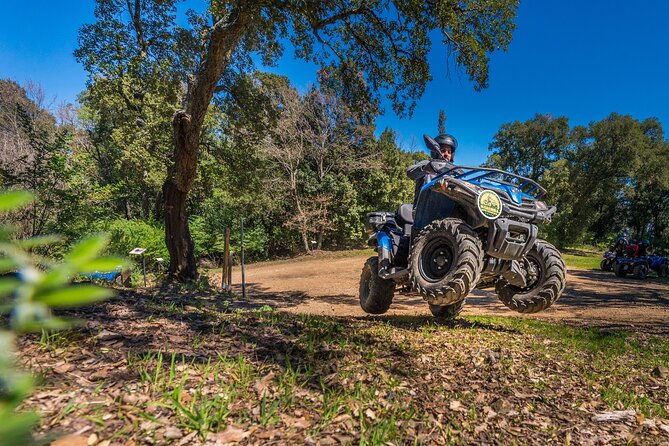 Quad excursion in the Maremma with barbecue in the woods - Entering the Bandite di Scarlino Woods on a Quad