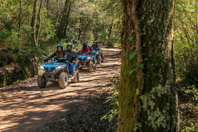 Quad excursion in the Maremma with barbecue in the woods - The Former Chestnut Drying House Barbecue: The Best Part for Many People