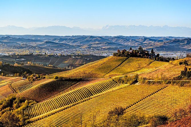 Radda in Chianti: Wine Tasting Tour with lunch at the Winery - Key points that make this tour worth your time