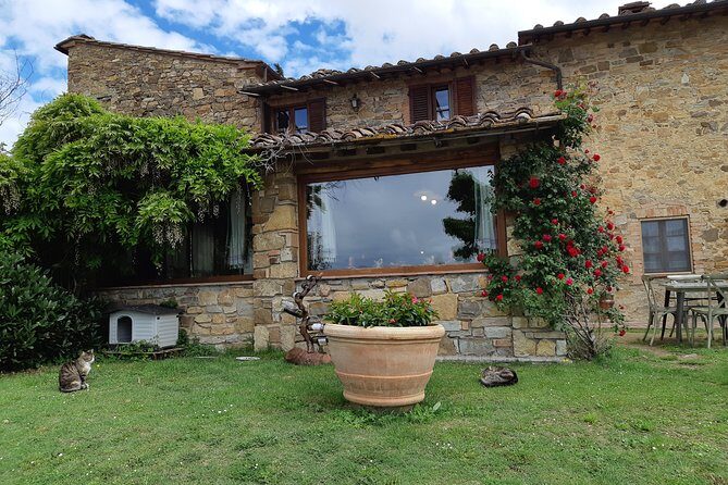 "Ramble Through The Rolling Hills Of Chianti" with lunch & Wine Tastings - Wine Tasting Practical Tips (So You Enjoy Every Sip)