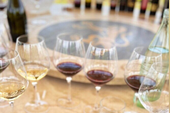 Romantic Dinner and Wine Tasting in San Gimignano Winery - Who should book this, and who might not love it
