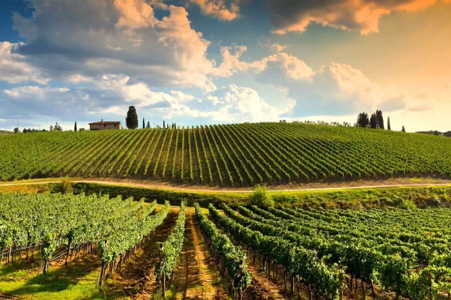 Romantic Escape in Tuscany with Overnight and Wine Tasting - Torciano Hotel: your base for a slow, quiet Tuscan night