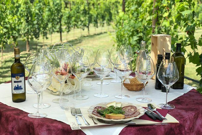 Romantic Lunch in the Vine Rows in Tuscany - Tenuta Torciano vine rows: the setting that makes lunch feel special
