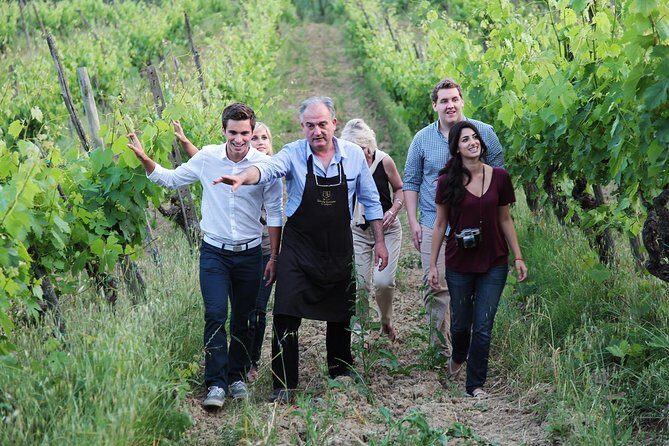 Romantic Lunch in the Vine Rows in Tuscany - Arrival and the vineyard stroll: what you do before the food