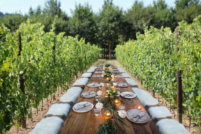 Romantic Lunch in the Vine Rows in Tuscany - Price and value: $227.67 per person, and what you’re really paying for