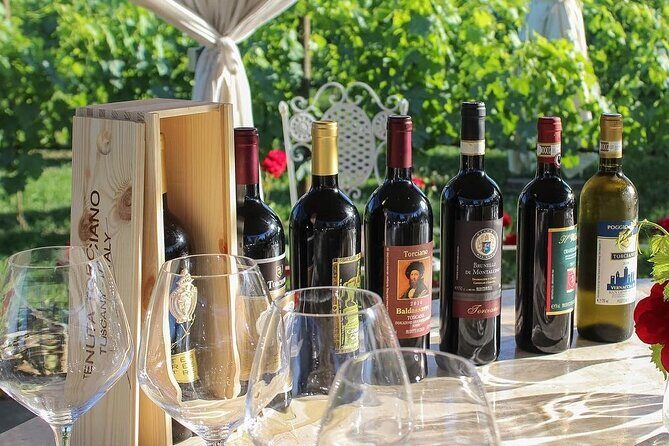 Romantic Lunch in the Vine Rows in Tuscany - Picking the right time: 12pm, 2pm, or 4pm