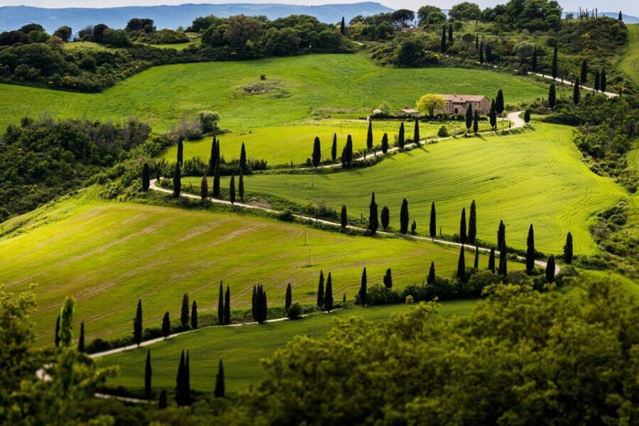 ROMANTIC WINE TOUR FOR 2 - Wine Tour in Chianti (Tuscany) - San Gimignano: medieval towers, shopping time, and gelato