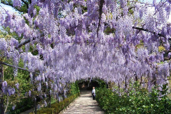 Royal Paths of Florence: Explore the Boboli Gardens - Giardino del Cavaliere and the Kaffeehaus: Michelangelo’s Garden Logic