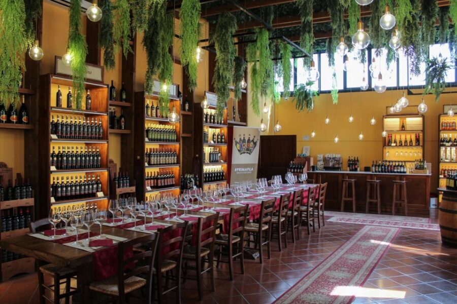 San Gimignano: 2-Hour Wine & Gourmet Tasting with Drinks - Who should book this wine-and-food tasting near San Gimignano?